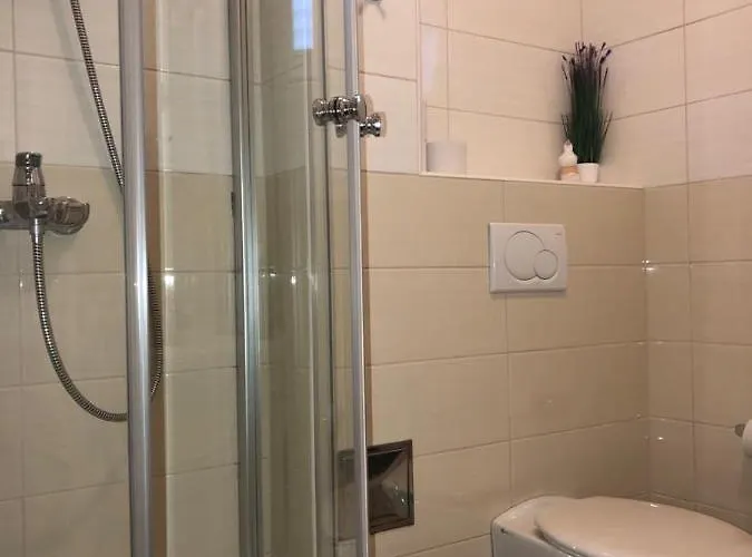 Apartament Ivesic *